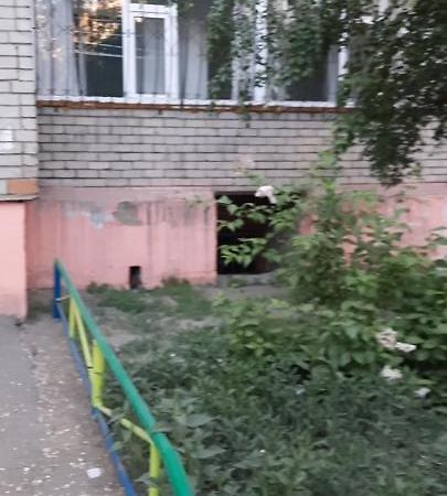 Cosy flat Semei Exterior foto
